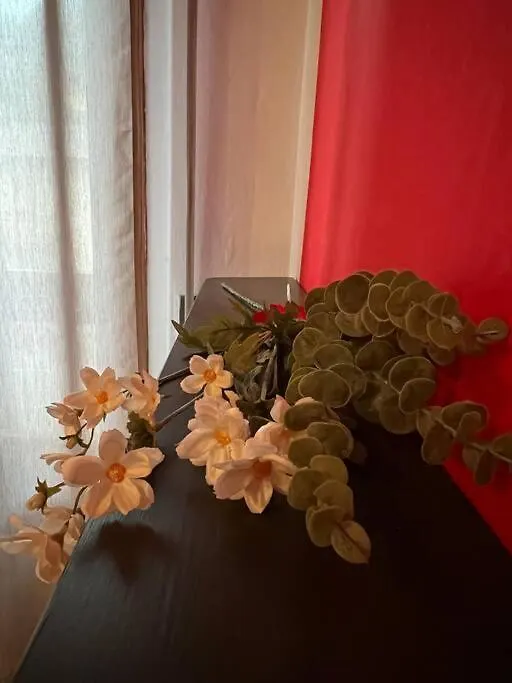Apartament Casa Di Carmignanello Cantagallo